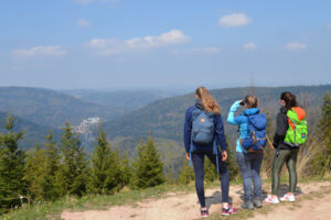 Spazierwandern im Heilklima | Aschenhütte - Hirschwinkel