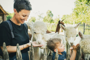 Genussvolle Alpaka Schwarzwaldtour