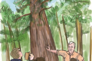 Erlebniswanderung mit Robert Roller - Die Nutzer des Waldes