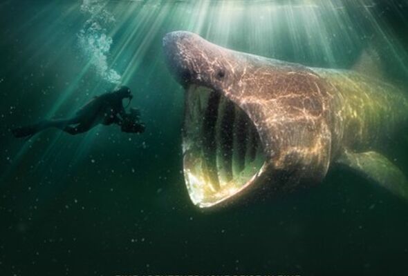 die-wilde-nordsee-natur-die-sich-nicht-zahmen-lasst