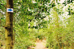 Historische Runde | Tour im Rahmen des Wanderopenings 2026