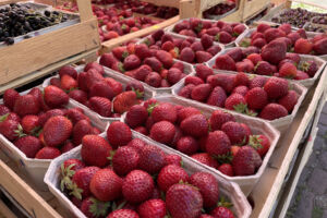 Wochenmarkt Neubulach