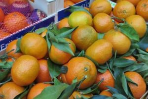 Vorösterlicher Wochenmarkt