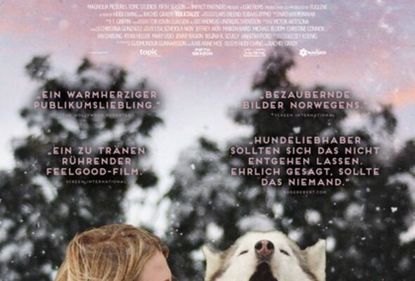 folktales-mit-schlittenhunden-ins-leben